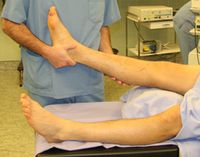 titre des muscles de la jambe arrire Achille tendon