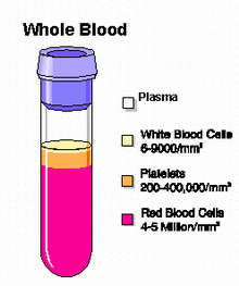 sangre hematies globulos rojos globulos blancos
