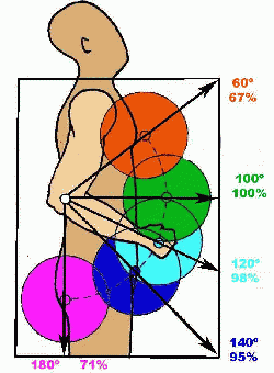 fuerza maxima musculo grado articulacion