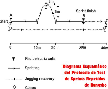 Capacidad de realizar Sprints Repetidos e Indice de Fatiga en Jugadores de Futbol, en Funcion de su Posicion