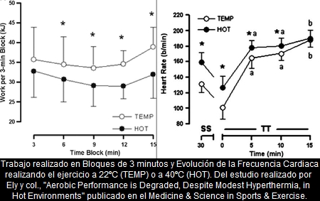 Disminucion del Rendimiento Aerobico con el Calor, incluso con Hipertermia ligera y Corta Duracion de la Actividad Fisica