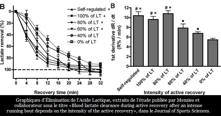 La vitesse d'limination des lactates aprs un exercice physique intense dpend de l'intensit de la rcupration active