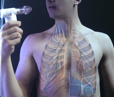 Entrenamiento de la Musculatura Respiratoria: Somos realmente conscientes de su Potencial?