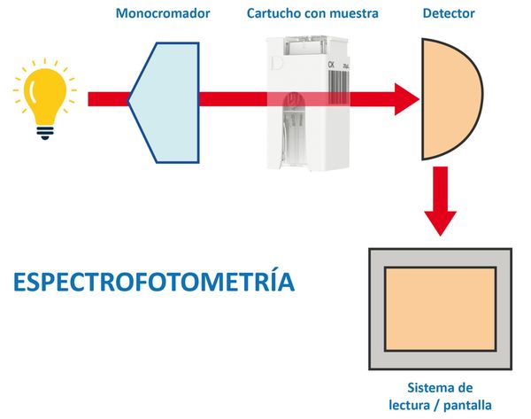 Espectrofotometria en el analisis de sangre con el analizador portatil SimplexTAS 101