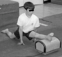 medicion flexibilidad especifico rendimiento fisico vibraciones