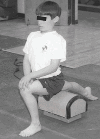 medicion flexibilidad especifico rendimiento fisico vibraciones